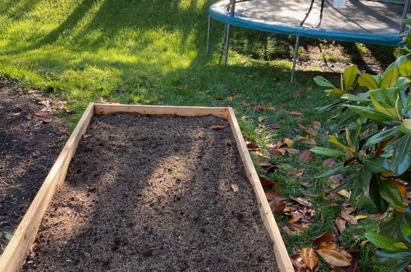Raised Garden Box with Morning Sun